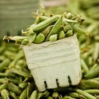 How to Make Fresh Green Bean Casserole in a Crock Pot Without Mushroom Soup