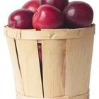 Adam & Eve Games for Kids