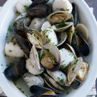 How do Mussels Protect Themselves?