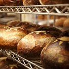 ¿Qué tipos de bacterias crecen en el pan?