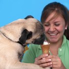How to Make Ice Cream at Home an Easy Way