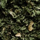 Coconut Oil Vs. Oregano Oil for Candida