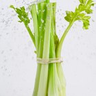 How to Store Washed & Cut Celery