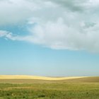 Cómo hacer un proyecto de ecosistema de la pradera en una caja de zapatos