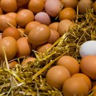 Cómo envolver un huevo para que no se rompa