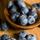 Naturally Blue-Colored Foods