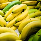 What Are the Different Kinds of Bananas?