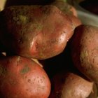 Grilled Red Potatoes in Foil