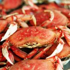 Famous Maryland Foods