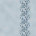 Diferencias entre los ácidos nucleicos y los nucleótidos