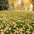 The Best Places to Get Married in Utah