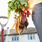How to Cook Raw Beets