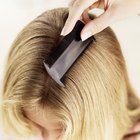 How to Break the Lice Life Cycle