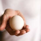 Soluciones para el experimento de la caída del huevo sin paracaídas