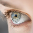 Lista de estructuras del ojo que la luz atraviesa cuando viaja del exterior del cuerpo hacia la retina