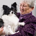 Activities for Homebound Elderly