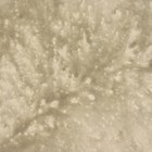 Uses for Curdled Milk