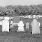 How to Find Someone's Date of Death for Free