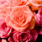 Hazlo tú misma: ideas de centros de mesa para una fiesta de quinceañera