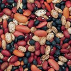 The Best Antioxidant Beans