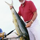 How to Clean a Bowfin