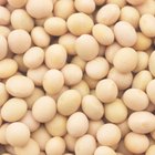 How to Eliminate Gas When Cooking White Beans