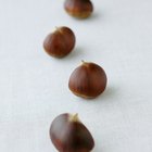 How to Honey Roast Chestnuts