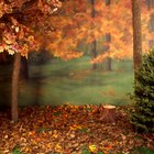 Ideas for an Elementary School Fall Festival Photo Booth