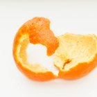 How to Eat an Orange Peel