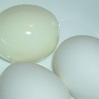 How to Store Eggs
