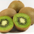 How to Buy a Kiwi