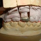 How to Create a Fake Tooth out of Putty