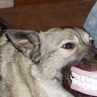 How to Remove Dentures