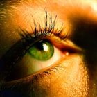 How to Apply Individual Eyelashes