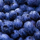 How to Make Blueberry Jam a Canning Recipe