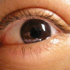Regrowing Eyelashes