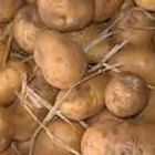 How to Store Potatoes From the Garden