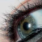 How Much Does Eyelash Perming Cost?