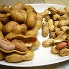 Cajun Style Boiled Peanuts Recipe