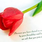 Wedding Announcements Etiquette