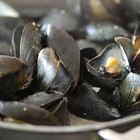 How to Clean Mussels With Cornmeal