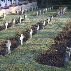 How to Get the Birth Certificates of Dead Relatives