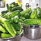 How to Pickle cucumbers