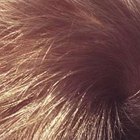 Herbs for Hair Growth