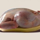 How to Boil Chicken