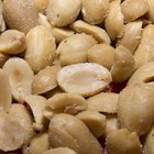 Type of Peanuts Used to Make Peanut Butter