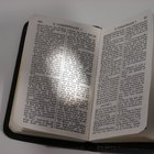 Children's Bible Lesson Plans & Activities on Telling the Truth