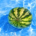 Summer Party Games for Adults