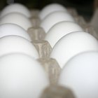 How to Store Egg Whites