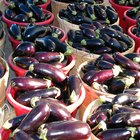 How to Choose an Eggplant
